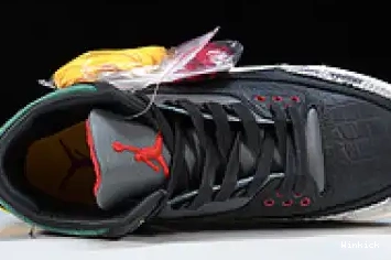 CV3583-003 “ANIMAL AIR 3 JORDAN 2.0” SE INSTINCT 0623